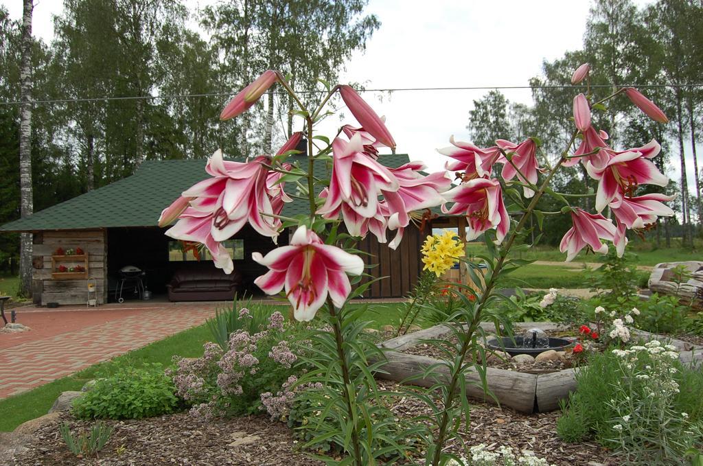 Spa Glamping Kirikumoisa Exterior foto